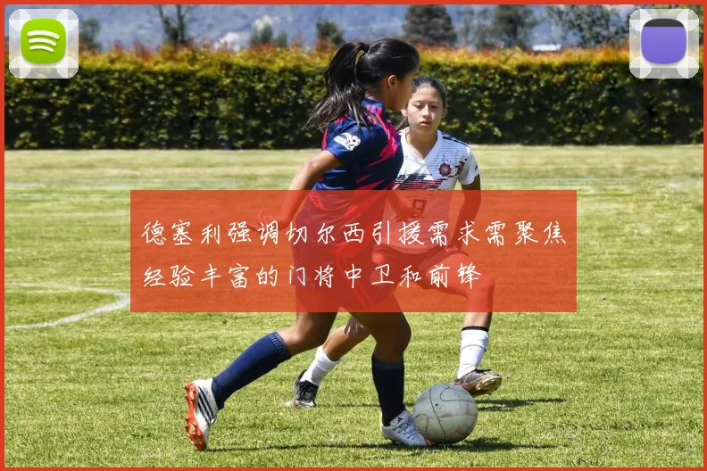 德塞利强调切尔西引援需求需聚焦经验丰富的门将中卫和前锋